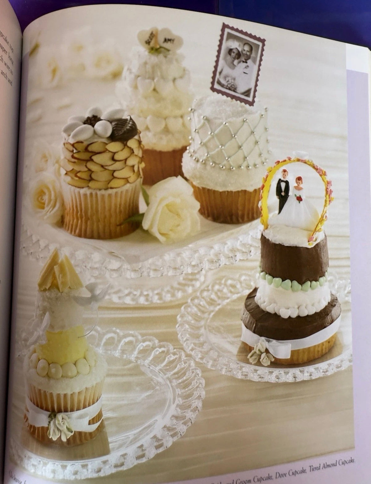 Crazy About Cupcakes – by Krystina Castella (Book, New)