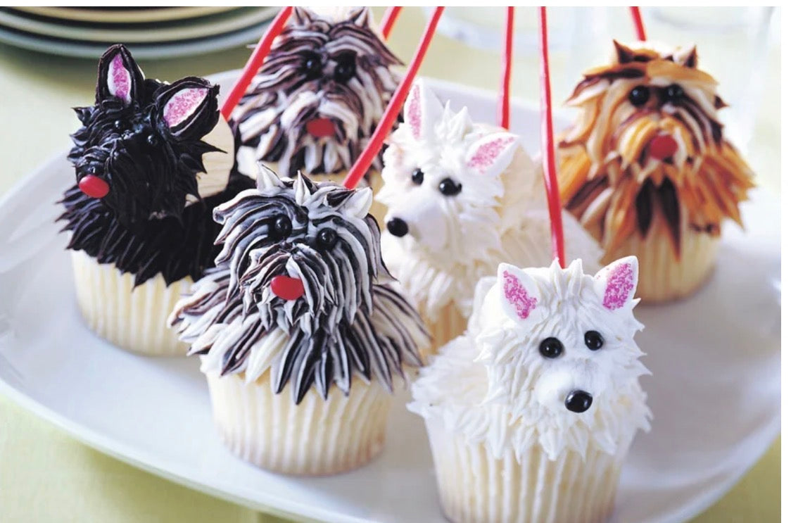 Hello, Cupcake! Irresistibly Playful Creations Anyone Can Make (Book, New)