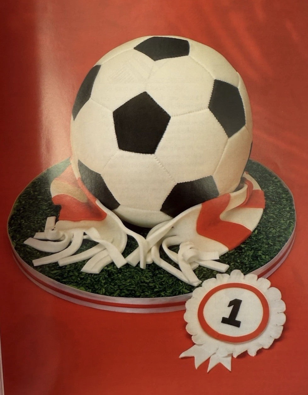 Bolo de Festa da Debbie Brown - Livro de Decoração de Bolos